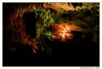 Scattata nelle suggestivi grotte di Castelcivita (SA); la foto non  proprio perfetta, visto che erano i primi periodi che scattavo e con molta inesperienza.