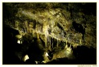 Scattata nelle suggestivi grotte di Castelcivita (SA); la foto non  proprio perfetta, visto che erano i primi periodi che scattavo e con molta inesperienza.