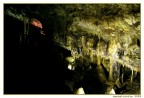 Scattata nelle suggestivi grotte di Castelcivita (SA); la foto non  proprio perfetta, visto che erano i primi periodi che scattavo e con molta inesperienza.