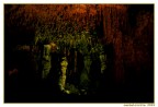 Scattata nelle suggestivi grotte di Castelcivita (SA); la foto non  proprio perfetta, visto che erano i primi periodi che scattavo e con molta inesperienza.