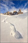 Nikon D40, Nikkor 12-24 a 12mm, f/16, ISO 200, 1/80", Treppiede, Scatto Remoto

Uno scatto ai piedi delle Pale di San Martino di Castrozza sulle tracce di una lepre...