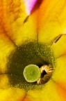 Dimensione Colorata 2