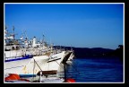 Primo pomeriggio.... barche pronte a salpare per l'isola del Giglio