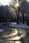 prima neve