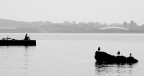 tranquillit