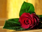 Something for Valentine