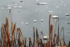 Immagine d'inverno