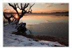 Reflected sun