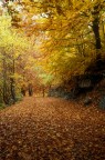 AUTUNNO A SAN GIACOMO