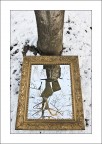 Pezzi di albero