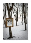 Foto per contest