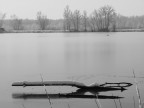 fz 38-f5-1/800-foc.eq. 95mm-iso 200-ML.Suggerimenti e critiche sempre ben accetti.