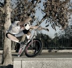 Trial II