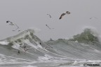 Burrasca sul mare