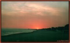 Camera: Compatta Canon Prima Zoom Shot
Data: Pasquetta 2oo2
Luogo: Terracina (LT)