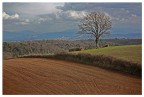 campagna romana