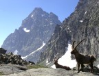 Monviso