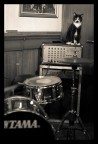 Love for Music