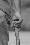 il sostegno