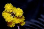 Voglia di sole
