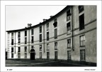 VENARIA