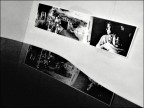 Visioni in mostra