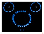 Blue Gas Koala