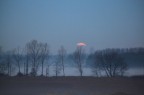 Stamattina al calar della luna