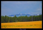 Questo luogo si nella zona a cavallo tra il Wyoming e il Montana , fu teatro della famosa battaglia dove per il Gen. Custer.
Questo scatto  stato ripreso dalla strada panoramica che lo attraversa.
