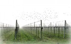 semplicemente.....via