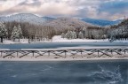 neve