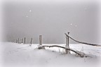 cristallo
