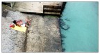 stessa spiaggia stesso mare