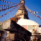 Nepal 2004
Leica M7 
Summilux 50mm 1.4
Elmarit 21mm 2.8
Kodak 100 Ektachrome