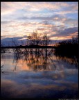 ...Simbirizzi#2...