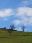 colline parmensi