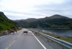 INCONTRI A NORD