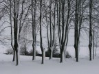 ancora inverno