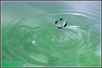 Acqua