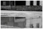 grida nel silenzio