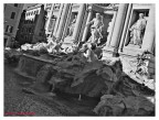 Trevi B/N 1