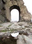 Riflessi