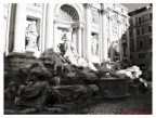 Trevi B/N 2