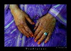 marocco 2009