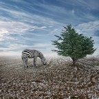 Cambiamenti climatici