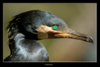 Nikon D2X
1/250
iso 200