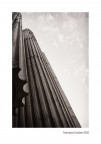 Metropolis