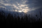 Clouds