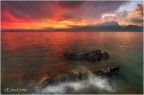 Garda Red Passion