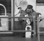 Affamati di musica